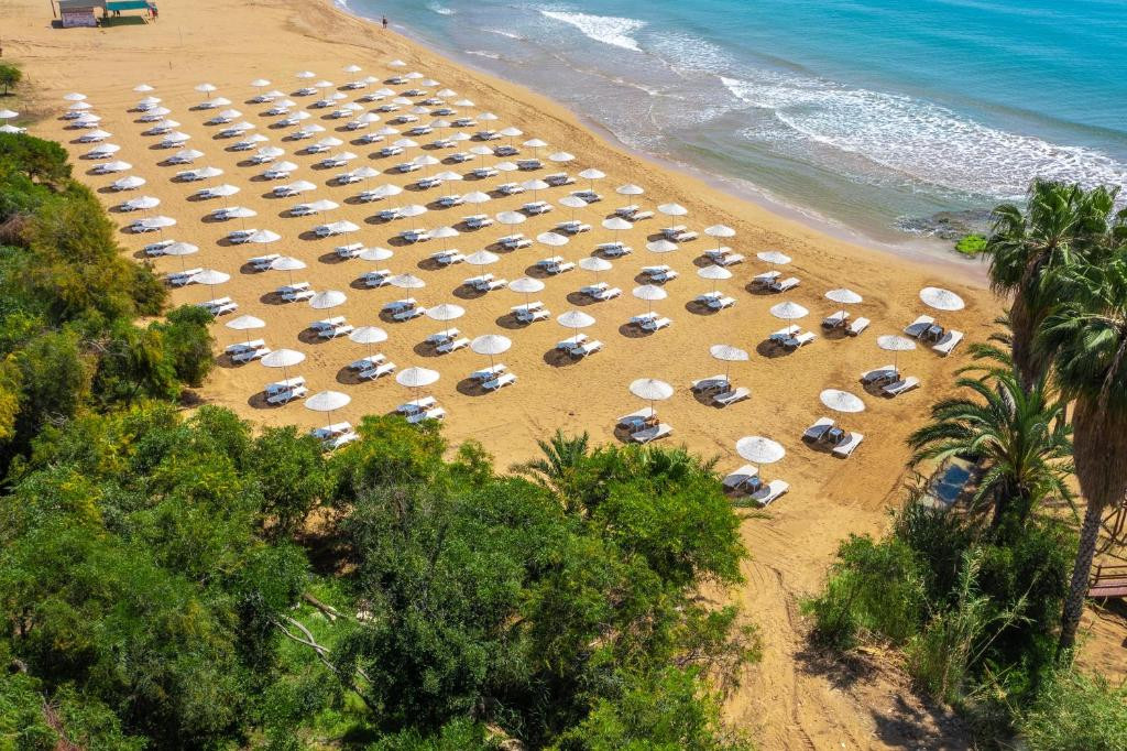 Фото отеля UTOPIA BEACH CLUB, 4