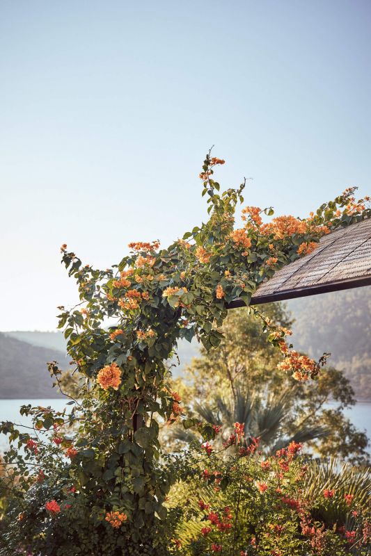 Фото отеля VILLA MACAKIZI BODRUM, 2
