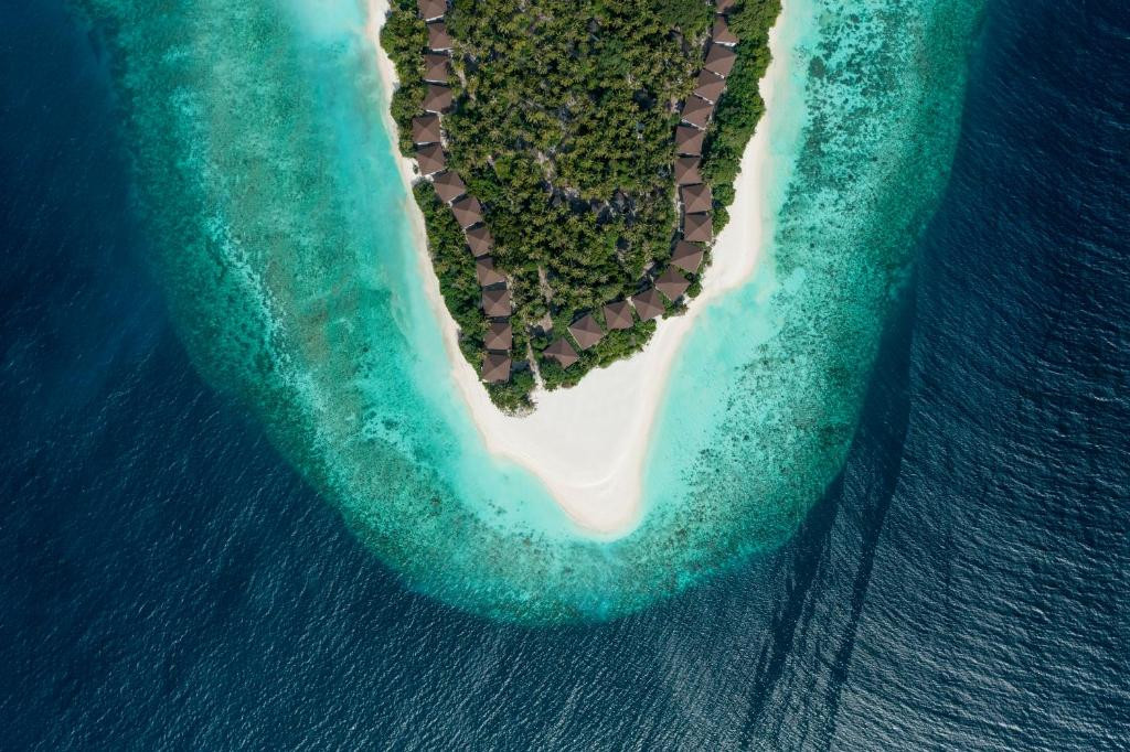 Фото отеля AVANI+ FARES MALDIVES RESORT, 3