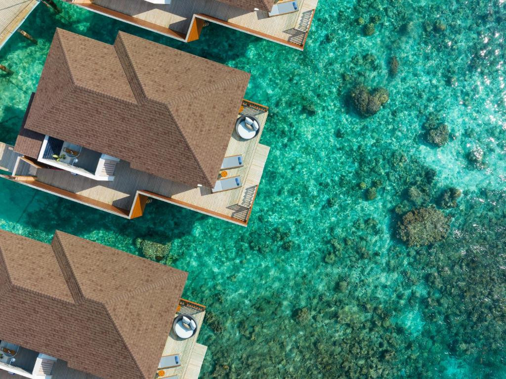 Фото отеля AVANI+ FARES MALDIVES RESORT, 4