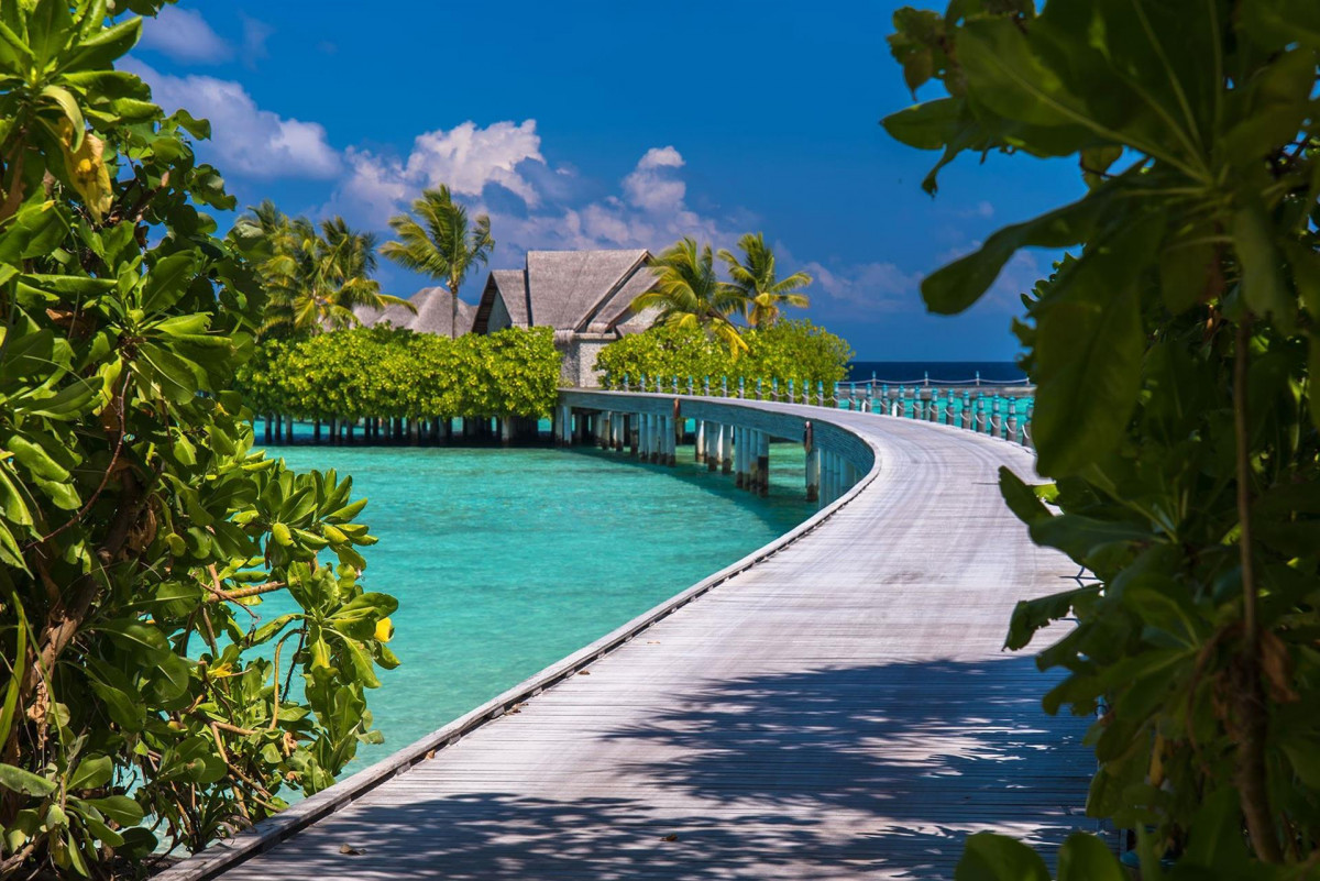 Фото отеля AYADA MALDIVES, 5