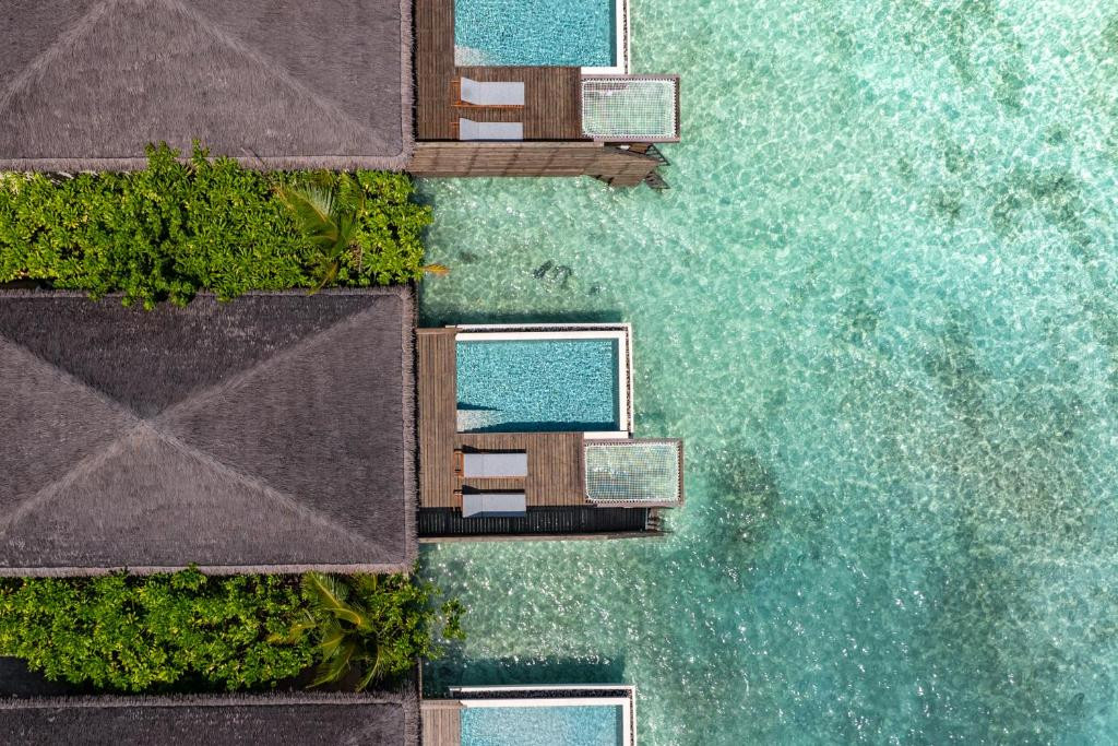 Фото отеля DUSITD2 FEYDHOO MALDIVES