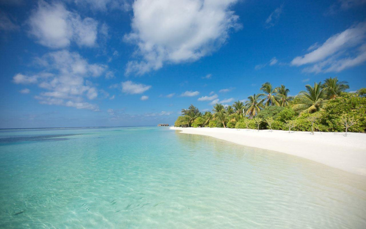 Фото отеля LUX* SOUTH ARI ATOLL RESORTS & VILLAS, 3