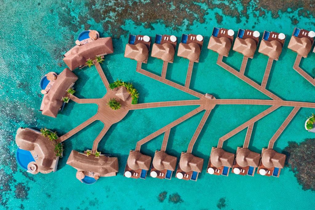 Фото отеля W MALDIVES, 2